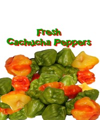 Cachucha Peppers