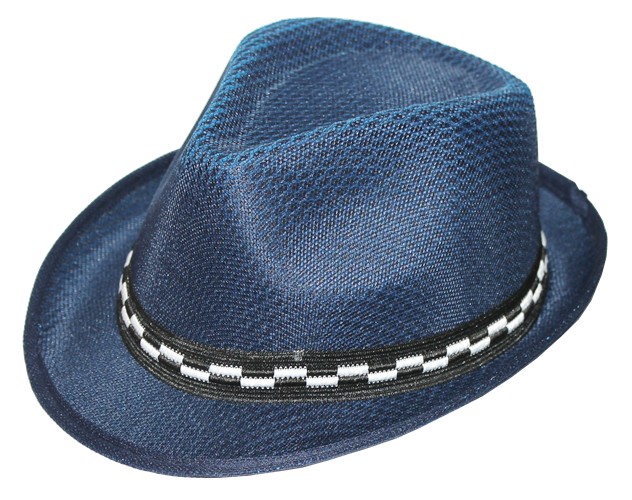 dark blue fedora hat